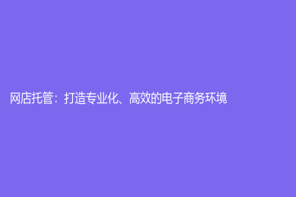 網店托管：打造專業(yè)化、高效的電子商務環(huán)境
